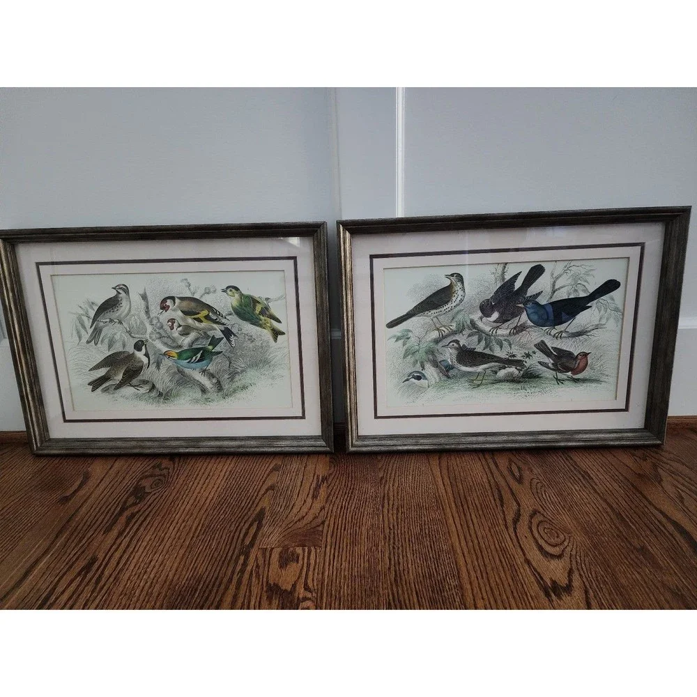 Vintage Song Bird Animal Framed Color Picture Wall Home Decor Print 15 x 21" - Picture 5 of 6